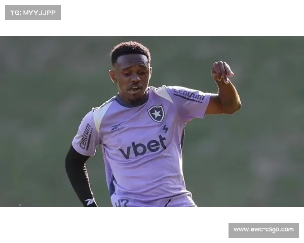 辽宁铁人从博塔弗戈租借边锋热菲尼奥。